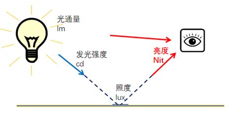 光照意思|光照的意思